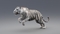 3D-White-Tiger-Animated-Fur7