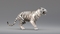 3D-White-Tiger-Animated-Fur8