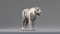 3D-White-Tiger-Animated-Fur9
