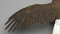 3D-model-American-Bald-Eagle13