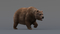 3D-model-Bear-Animated2