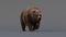 3D-model-Bear-Animated4