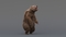 3D-model-Bear-Animated5