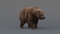 3D-model-Bear-Animated6