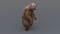 3D-model-Bear-Animated7