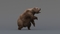 3D-model-Bear-Animated8
