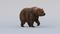 3D-model-Bear-Animated9