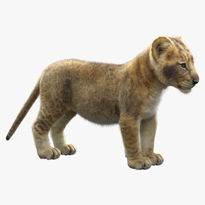3D-model-Lion-Cub1
