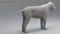 3D-model-Lion-Rigged23