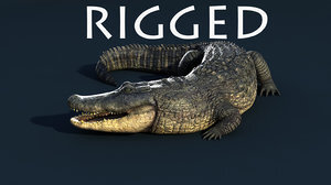 Alligator-rigged1