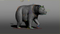 Bear-Rigged-Fur16