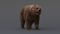 Bear-Rigged-Fur8