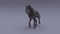 Black-Wolf-Rigged-3D13