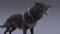 Black-Wolf-Rigged-3D3