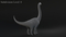 Brachiosaurus-Rigged11