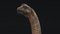 Brachiosaurus7