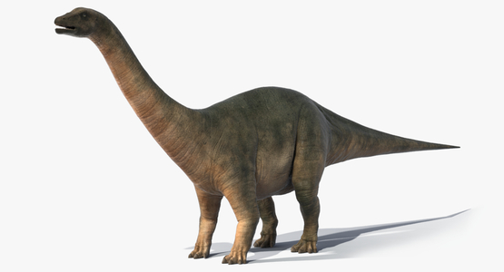 Brontosaurus1