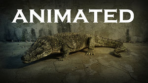 Crocodile-ANIMATED1
