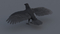 Crow-3D-model7