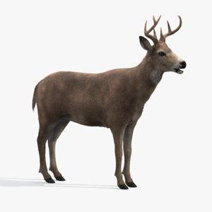Deer-Fur1