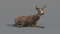 Deer-Rigged-Fur11