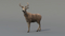 Deer-Rigged-Fur3