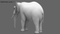 Elephant-Animated22