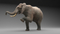 Elephant-Animated5