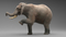 Elephant-Animated7