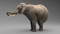 Elephant-Animated8