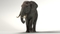 Elephant-Rigged-3D13