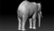 Elephant-Rigged-3D17