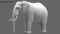Elephant-Rigged-3D31