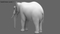 Elephant-Rigged-3D33