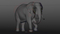 Elephant-Rigged-3D35