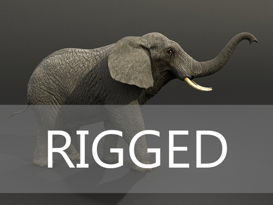 Elephant-Rigged1