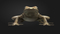 Frog-RIGGED4