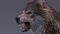 Gray-Wolf-Rigged-3D-model4