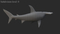 Hammerhead-Shark-Rigged10