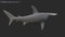 Hammerhead-Shark-Rigged11
