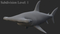 Hammerhead-Shark10