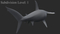 Hammerhead-Shark12