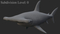 Hammerhead-Shark9