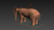 Heavy-animals-pack-RIGGED22