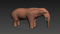 Heavy-animals-pack-RIGGED26