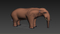 Heavy-animals-pack-RIGGED27