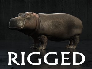 Hippo-Rigged1