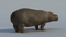 Hippo-animated10