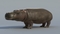 Hippo-animated9