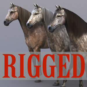 Horse-Grey-Rigged1